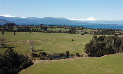 Imagen 10 de 16 de Agrícola En Venta En Río Bueno