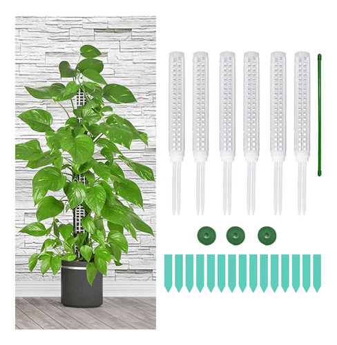 Poste De Para Plantas Soporte De Plantas Monstera Con