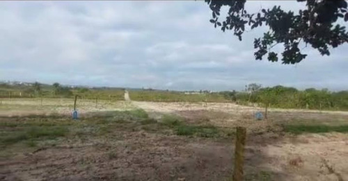 Sitio Com 9.3 Hectares Com Irrigação, Muita Água.