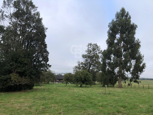 Espectacular Terreno De 3,9 Hectáreas En Puerto Varas