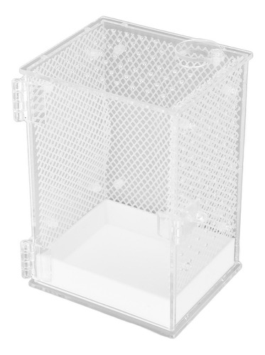 Caja De Alimentación Mantis Para Cría De Insectos, Acrílico