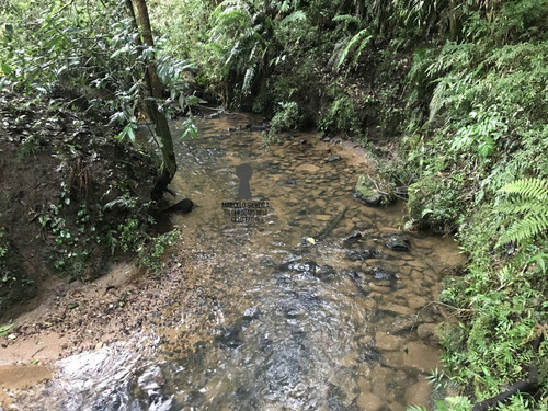 Chácara A Venda No Bairro Centro Em Bocaiúva Do Sul - Pr. - 217-1