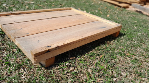 Material Apicola Piso Y Techo Para Apicultura