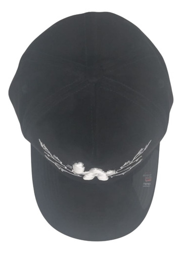 Gorra Snapback Gamuza Bordada Curva Ajustable Premium Fg Cap La Las Nubes Los Angeles Ajustable