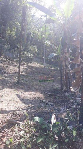 Imagem 8 de 26 de Sobrado Com 4 Dormitórios À Venda, 500 M² Por R$ 1.200.000 - Figueira (pé Da Serra) - Ubatuba/sp - So2196