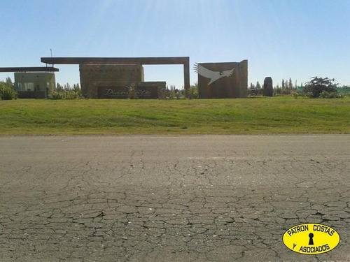 1882sa-lote De 5.000 M2 En San Rafael Mendoza