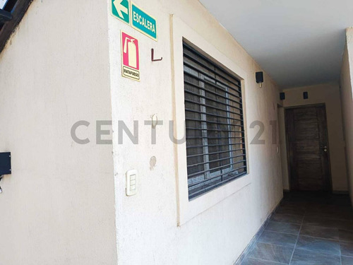 Alquiler Departamento En Dorrego Nuevo!
