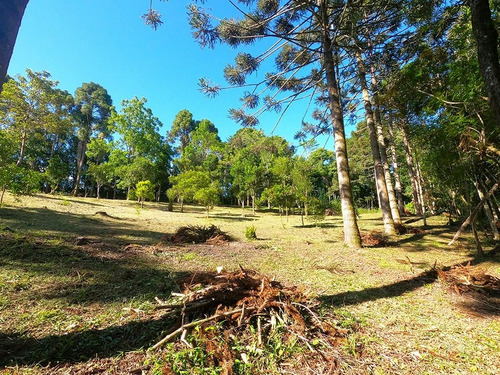 Imagem 19 de 30 de Linda Chácara À Venda No Bairro Miringuava Em São José Dos Pinhais, Com Aproximadamente 20 Mil Metros De Terreno! - Ch00004 - 68976597