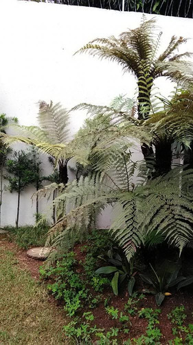 Imagem 13 de 30 de Excelente Localização - Alto Padrão - Imóvel À Venda No Bairro Do Pacaembu - Sb1276v