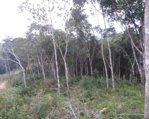 Imagem 14 de 15 de Terreno - 03870 - 33228930