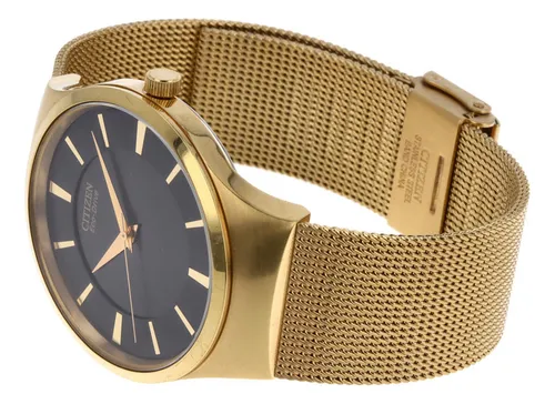 Citizen dorado best sale