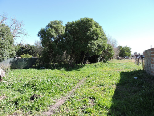 Imagen 3 de 4 de Lote En Veronica, 12x60