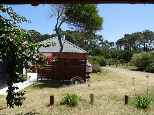 Cabaña Martesi B En Punta Colorada