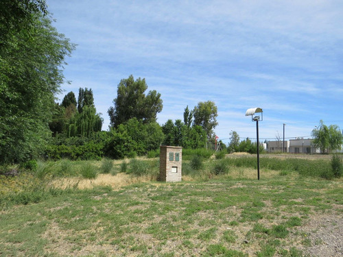 Imagen 6 de 10 de Terreno En Venta En General Roca