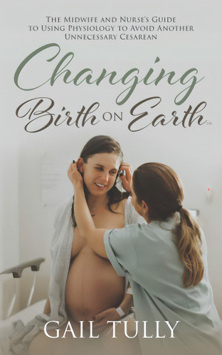Changing Birth On Earth: A Midwife And Nurses Guide, De Tully, Gail N.. Editorial Oem, Tapa Blanda En Inglés