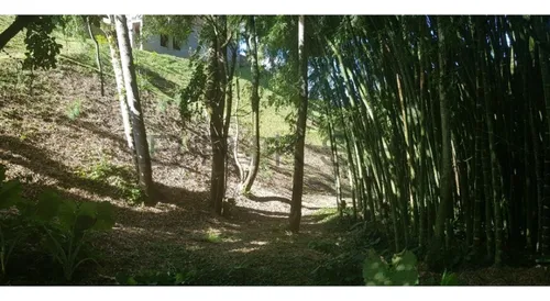 L-263 (venta Lote, Sector Rionegro)