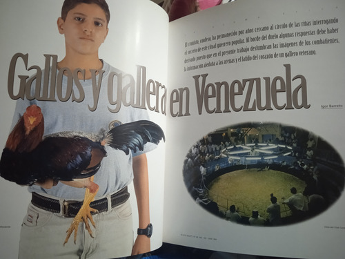 Gallos Y Galleras En Venezuela Igor Barreto / Revista Bigott (Usado)