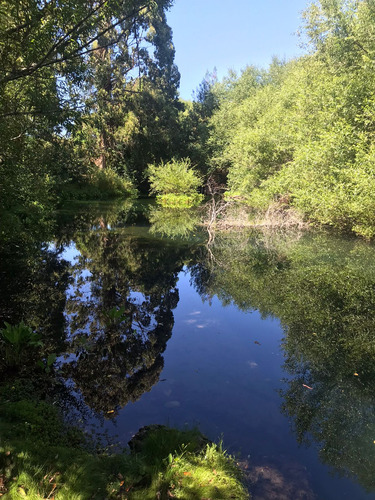Oferta! Parcela Con Acceso Exclusivo Al Rio Tolten