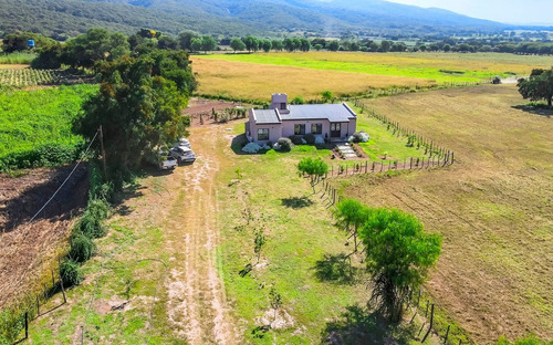 Finca 4 Ha Con Casa 2 Dorm Venta Chicoana Rp 32