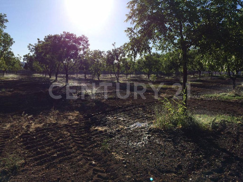 Imagen 12 de 26 de Rancho En Venta Zona Norte Sacramento Chihuahua