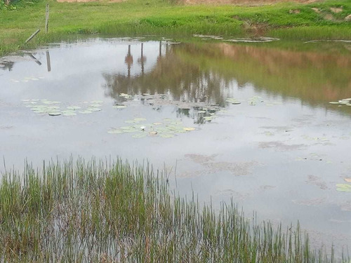 Imagem 8 de 8 de #v# J11- Seu Lote Com Vista Pro Lago