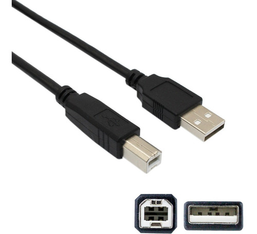 Lunling Cable De Usb A Macho A B Macho De 10 Ft Cable De Tr