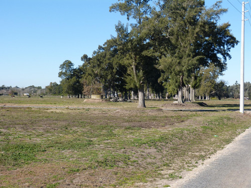 Terreno Lote  En Venta En Parada Robles, Exaltación De La Cruz, G.b.a. Zona Norte