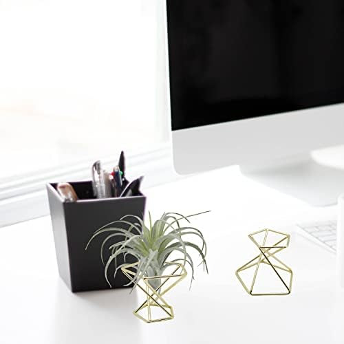 20 Soportes Para Plantas De Aire, Soportes Geométricos Único