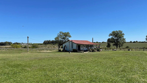 Casco Antiguo Con 10 Has De Campo A 40 Minut De Montevideo
