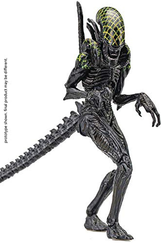 Hiya Toys Alien Vs. Depredador: Grid Alien 1:18 Ygmds