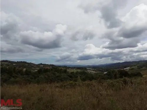 Lote Independiente En El Alto De Las Palmas(mls#238569)