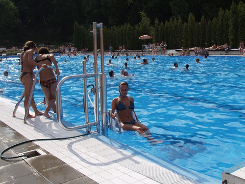 Imagen 3 de 7 de Elevador De Piscina