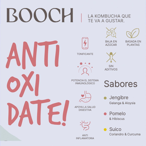 Kombucha Botánica Suico Booch 354 Cc