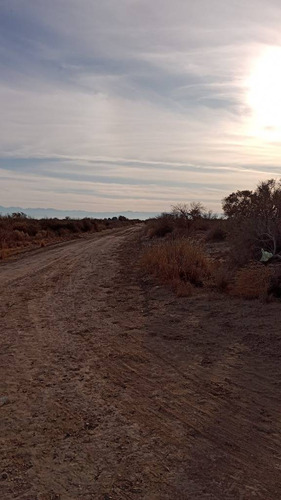 Venta Finca Monte Caseros San Martin. Mendoza