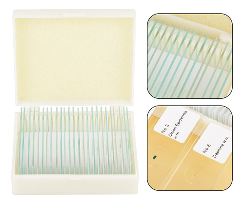 Conjunto De Diapositivas De Microscopio 25 Piezas Con