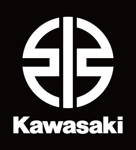 Kawasaki Stx-160 X 2024 (no Sea Doo, Yamaha) Ag Motosport