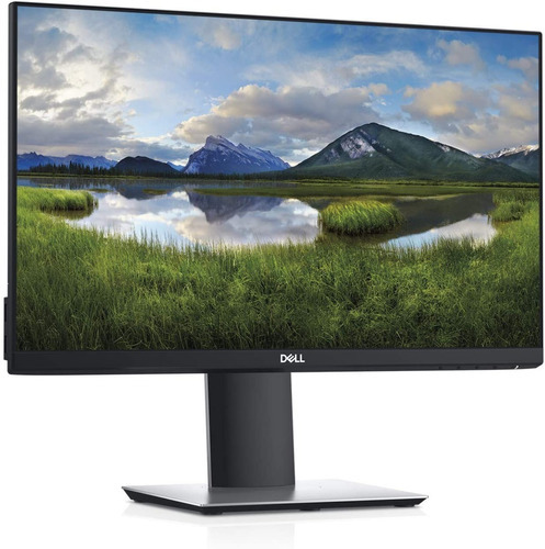 Monitor Dell Profissional P2219H 1920x1200 IPS 21.5 polegadas
