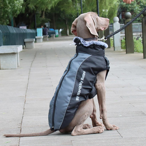 Trajes Chaleco Chaqueta Abrigos De Clima Frío Perros 3xl