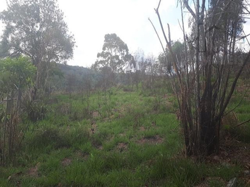 Imagem 3 de 4 de Cod 4005 - Terreno De 1.200 M² Todo Cercado. - 4005