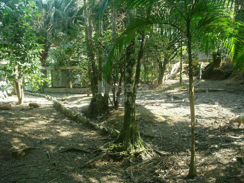 Imagem 24 de 30 de Chácara À Venda No Bairro Pedras Grandes - Botuverá/sc - 1998c
