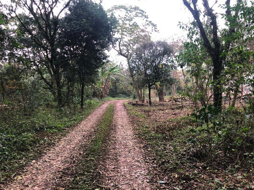 Imagen 11 de 11 de Terreno Urbano En Ixtaczoquitlan, Orizaba Remate