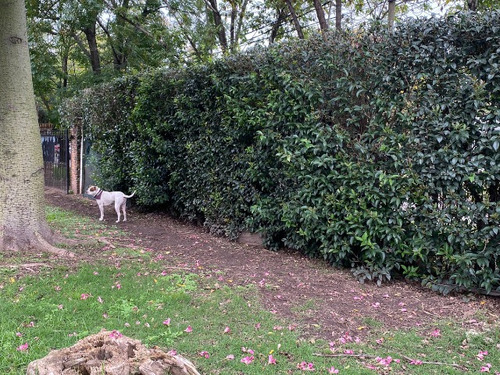 Lote 2405 M2 Para Inversion Barrio Privado