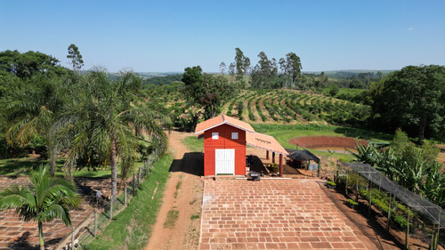 Sítio De 30 Ha Em Timburi, Sp