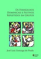 Livro Os Evangelhos Dominicais E Festivos Refletidos Em Grupos - José Luiz Gonzaga Do Padro [2017]