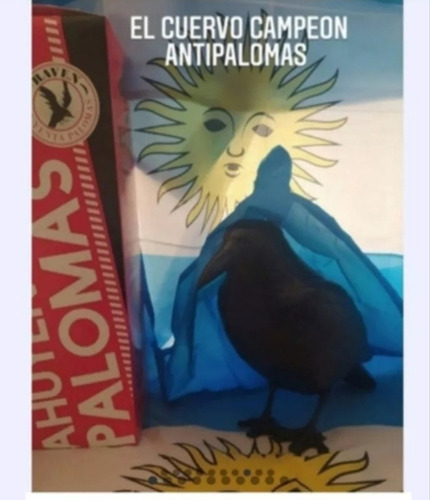 Pack Mundial Antiaves 2 Cuervos + 2m Pinches Raven Argentina