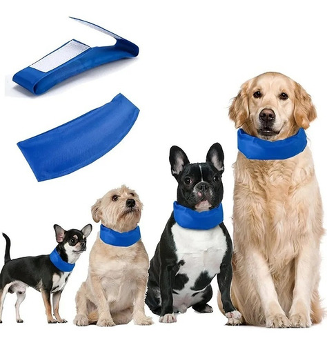 Collar Refrigerante Refrescante Para Perros Y Gatos - 33 Cm