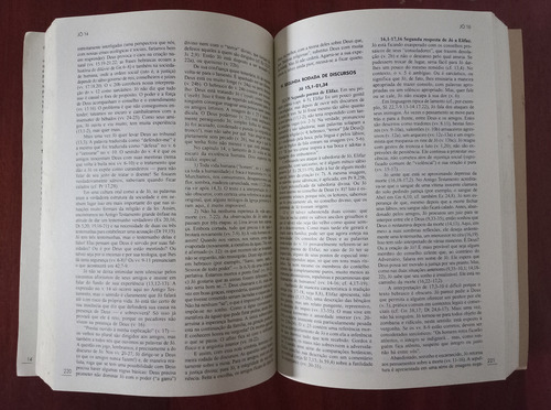 Livro Comentário Bíblico - Dianne Bergant, Robert J. Karris (Usado)