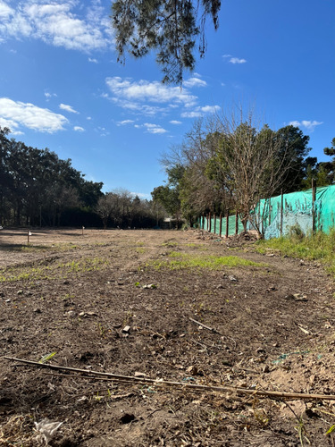 Terreno En Venta: ¡financiación Disponible! #