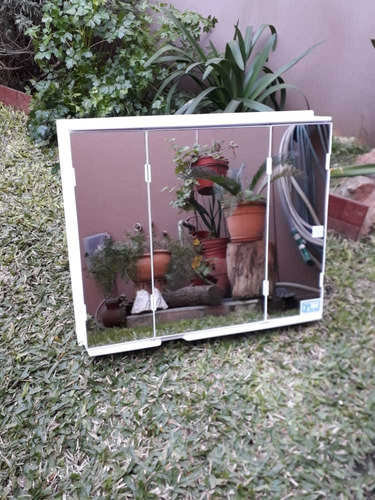 Espejo Botiquín Peinador Puertas Baño 61x52x10