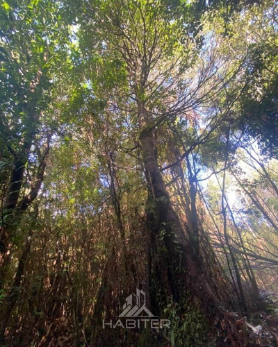 Parcela En Venta En Hualaihue